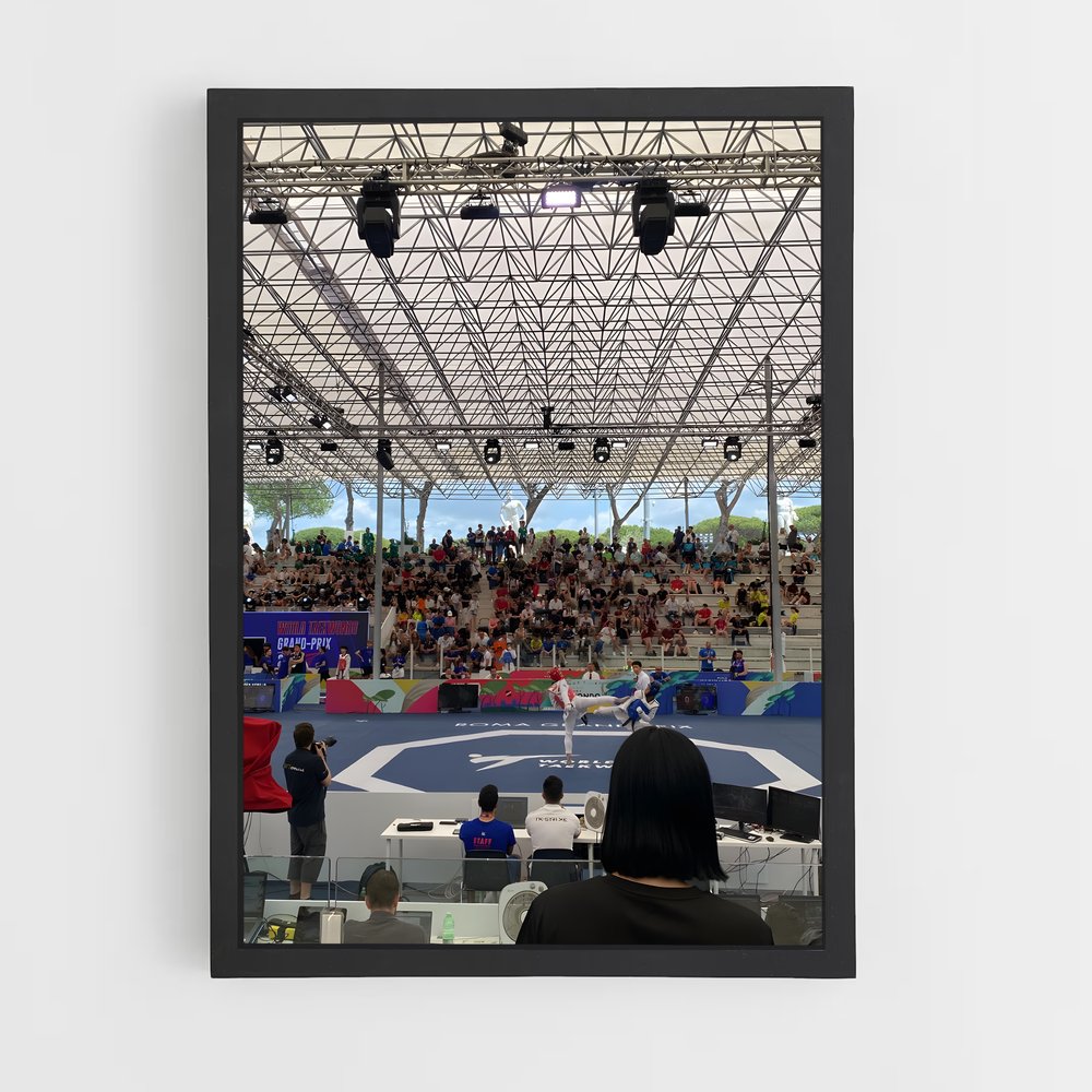 Poster Taekwondo en Fête (vue 2)